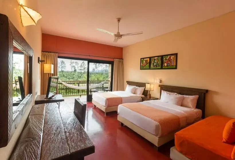 スタンダードルーム, Decameron Panaca   All Inclusive