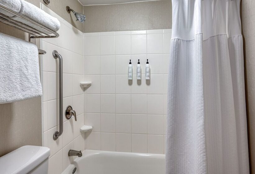 套房, Springhill Suites Terre Haute