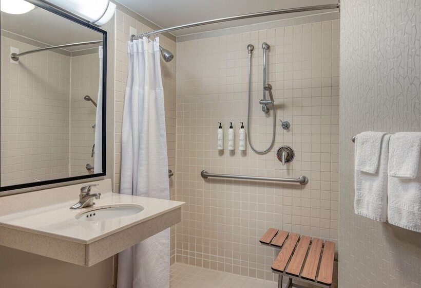 套房, Springhill Suites Terre Haute