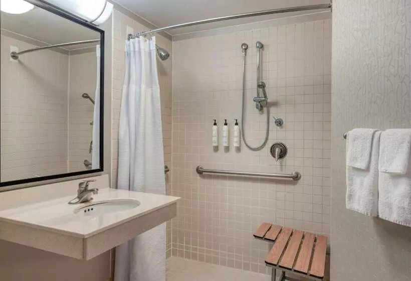 キングサイズベッドのスイートルーム, Springhill Suites Terre Haute