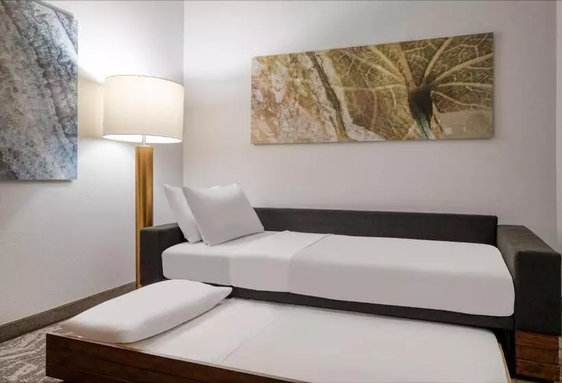 キングサイズベッドのスイートルーム, Springhill Suites Terre Haute