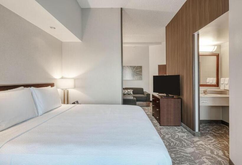 Люкс Кровать Кинг, Springhill Suites Terre Haute