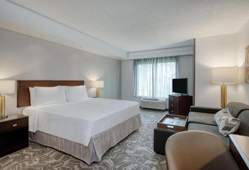 带大床的套房, Springhill Suites Terre Haute