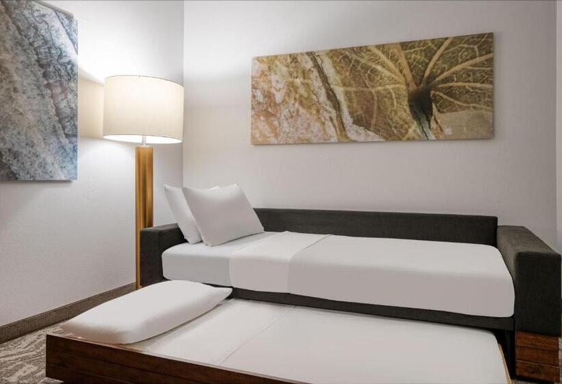 套房, Springhill Suites Terre Haute