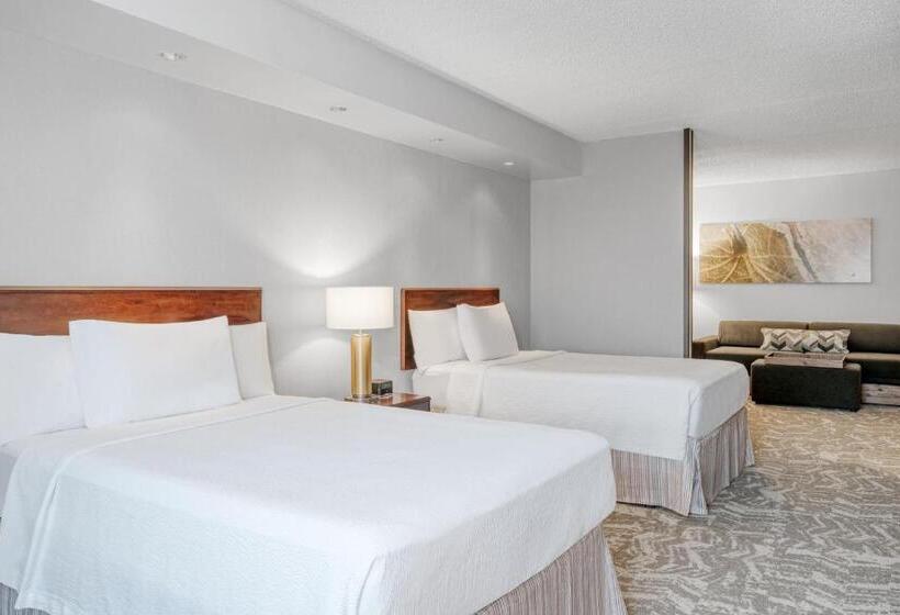 Люкс, Springhill Suites Terre Haute