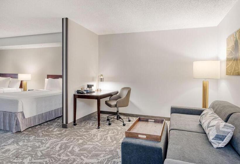 套房, Springhill Suites Terre Haute
