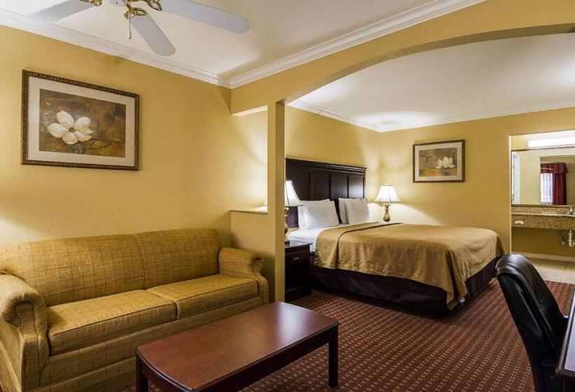 Люкс Кровать Кинг, Econo Lodge Inn & Suites Bryant
