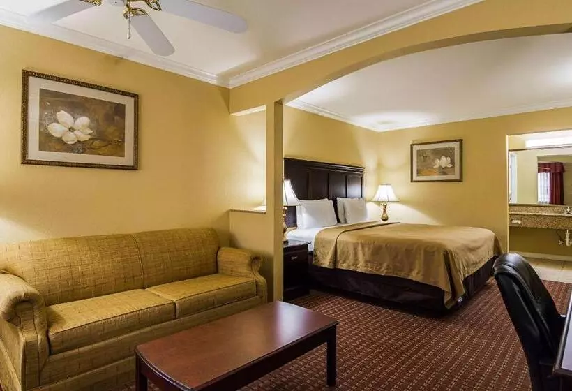 キングサイズベッドのスイートルーム, Econo Lodge Inn & Suites Bryant