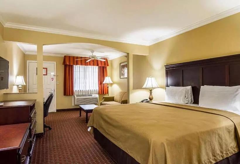キングサイズベッドのスイートルーム, Econo Lodge Inn & Suites Bryant
