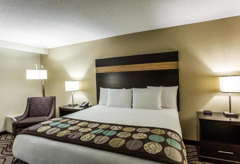 اتاق استاندارد با تخت بزرگ, Clarion Hotel Airport & Conference Center