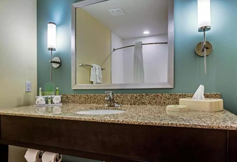 スタンダードルーム, Holiday Inn Express Hotel & Suites Orlando East Ucf Area, An Ihg
