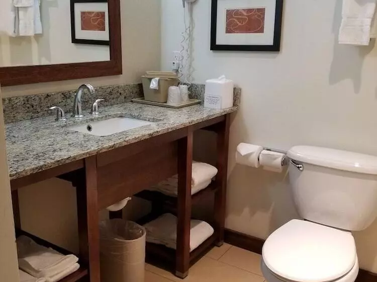 スイート, Comfort Suites Farmington