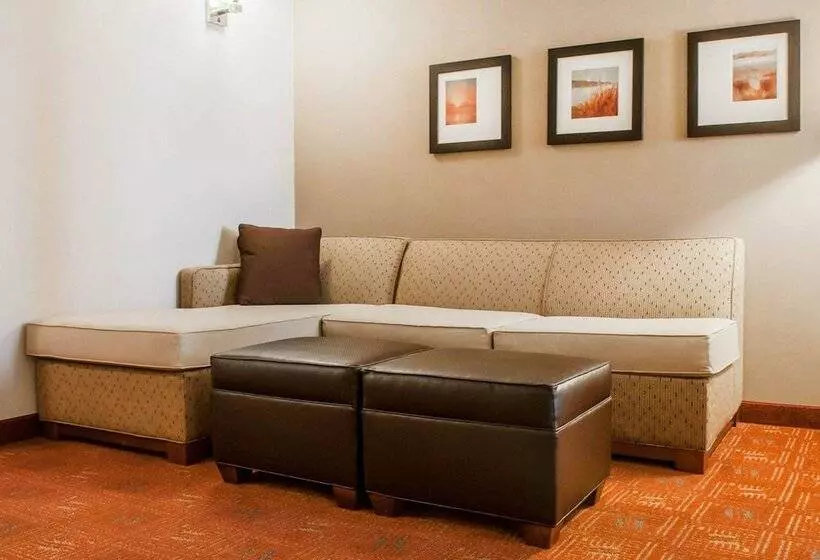 スイート, Comfort Suites Farmington