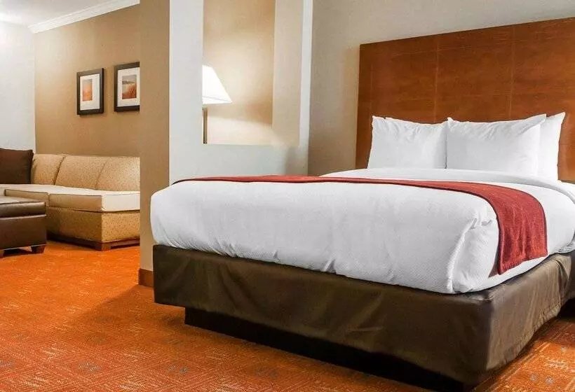 スイート, Comfort Suites Farmington