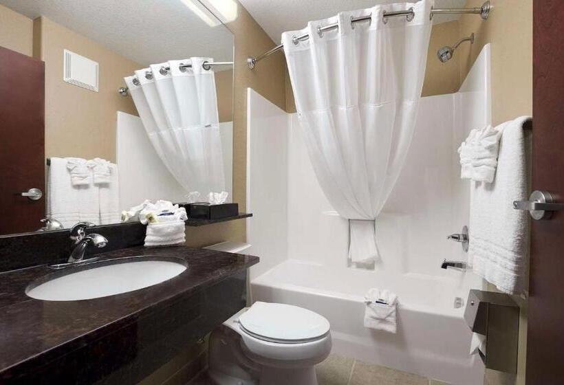 غرفة قياسية, Sonesta Essential Gonzales Tx