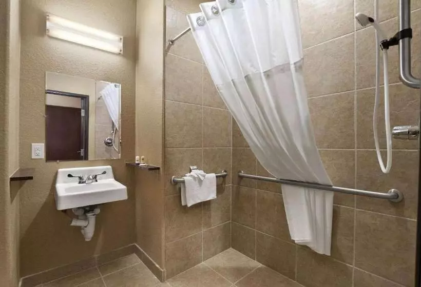 障害者適応デラックスルーム, Sonesta Essential Gonzales Tx