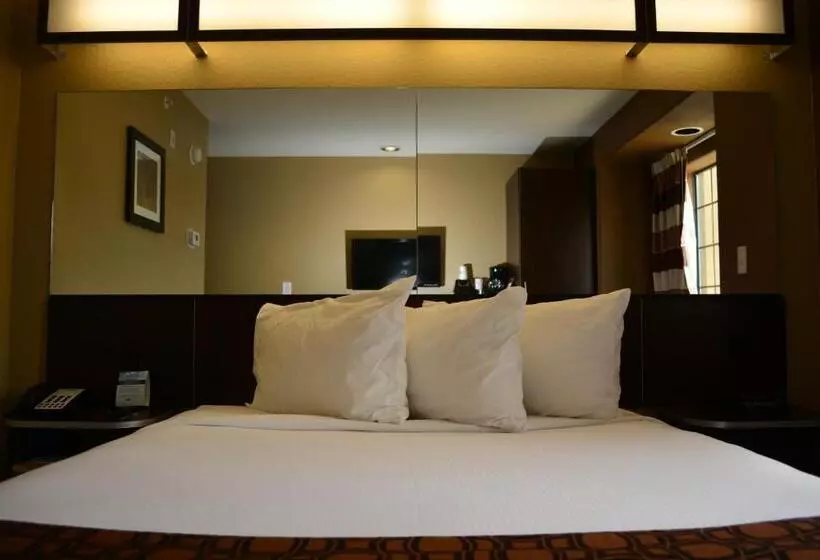 スタンダードルーム, Sonesta Essential Gonzales Tx
