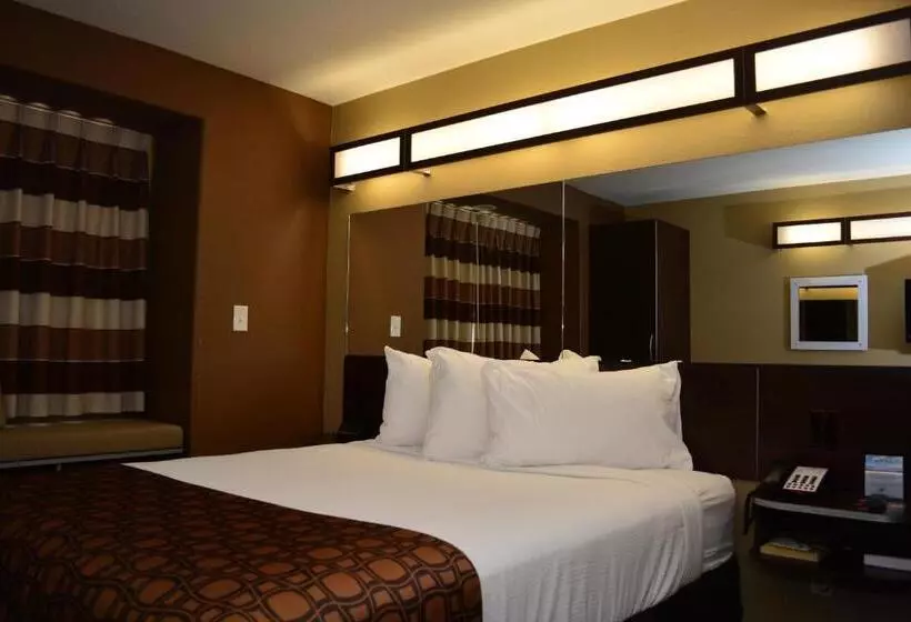 スタンダードスタジオ, Sonesta Essential Gonzales Tx