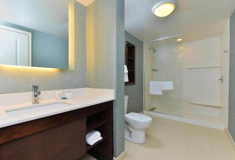 带大床的套房, Residence Inn By Marriott Champaign