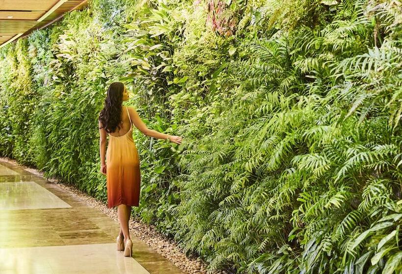 سوییت جونیور کلاب, Sofitel Dubai The Palm Resort & Spa