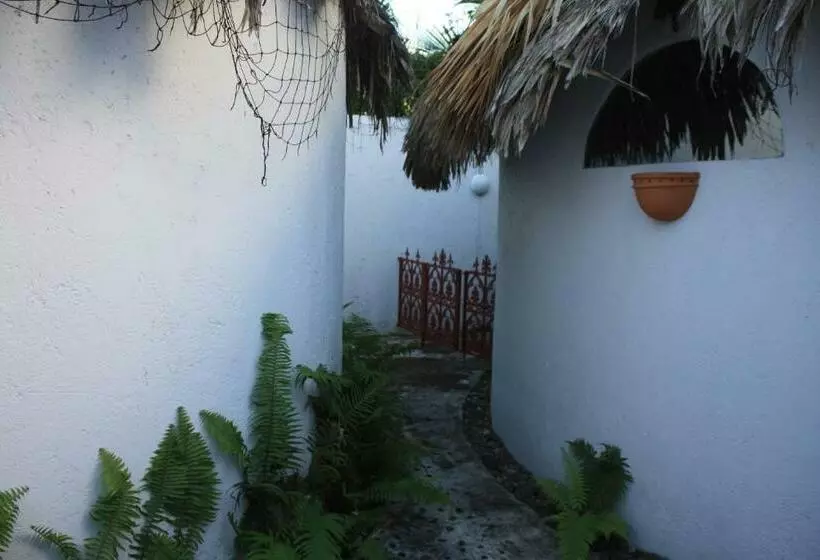 بانگلوی استاندارد, Amaranto Bed And Breakfast