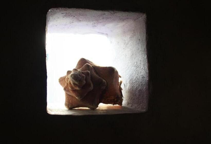 Бунгало Superior, Amaranto Bed And Breakfast