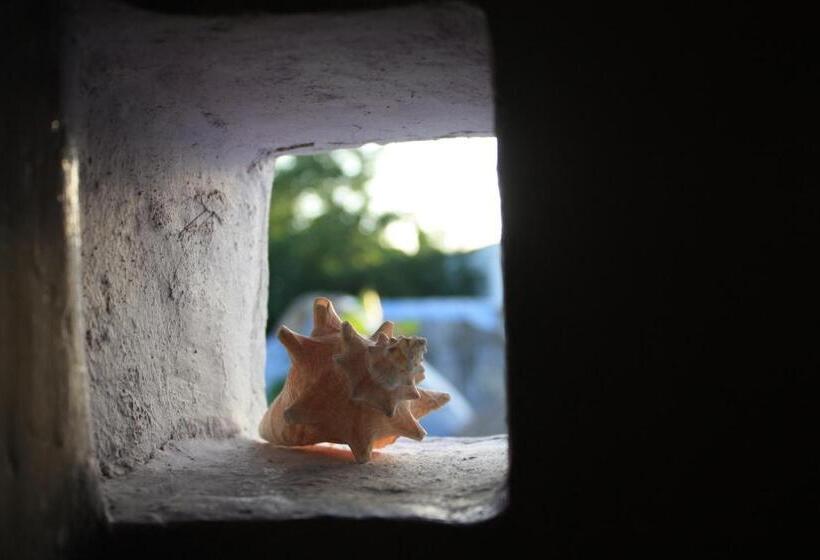 Бунгало Superior, Amaranto Bed And Breakfast