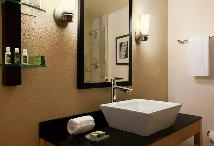 スイート, Holiday Inn Express Miami Airport Blue Lagoon Area, An Ihg