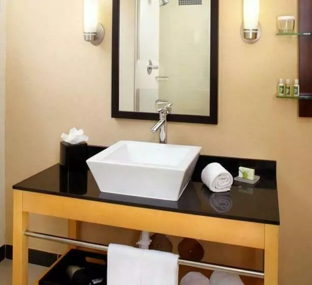 スイート, Holiday Inn Express Miami Airport Blue Lagoon Area, An Ihg