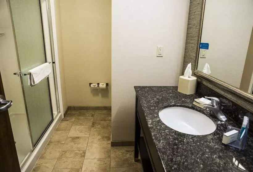 ダブルベッドスタンダードルーム, Hampton Inn & Suites Lake Placid
