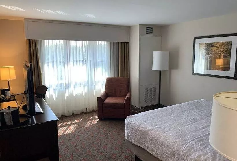 ダブルベッドスタンダードルーム, Hampton Inn & Suites Lake Placid