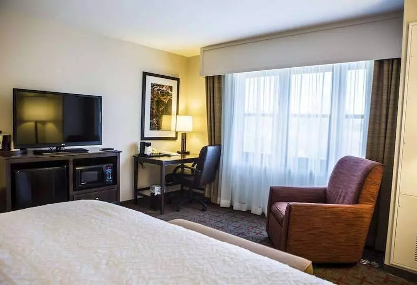 身障者適用スタンダードルーム, Hampton Inn & Suites Lake Placid