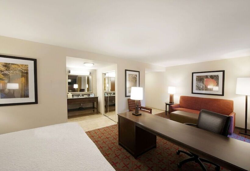 إستوديو بريميوم, Hampton Inn & Suites Lake Placid
