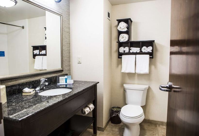 إستوديو قياسى سرير مزدوج, Hampton Inn & Suites Lake Placid