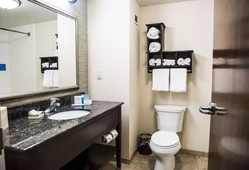 ダブルベッドのスタンダードスタジオ, Hampton Inn & Suites Lake Placid