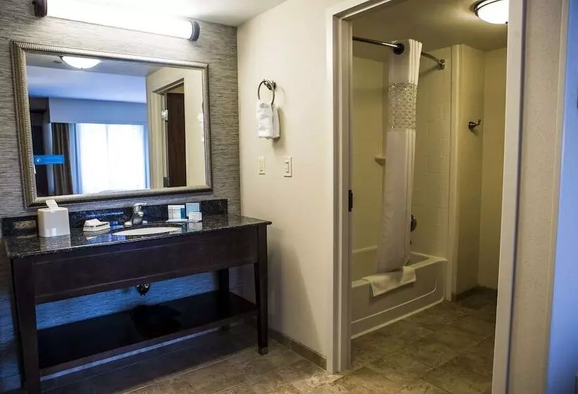 ダブルベッドのスタンダードスタジオ, Hampton Inn & Suites Lake Placid
