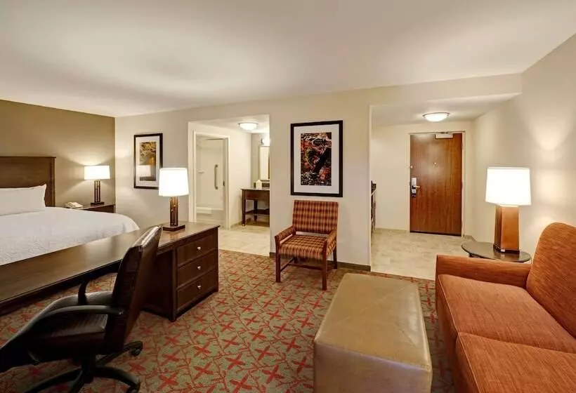 ダブルベッドのスタンダードスタジオ, Hampton Inn & Suites Lake Placid