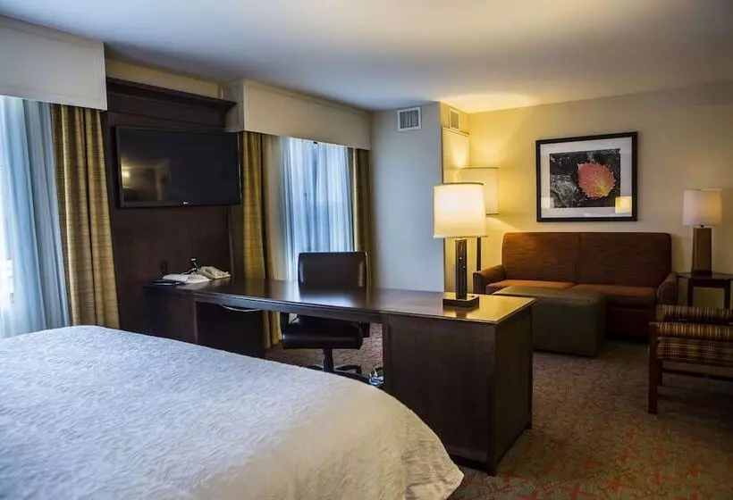 ダブルベッドのスタンダードスタジオ, Hampton Inn & Suites Lake Placid