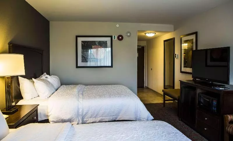 レイクビュースタンダードルーム, Hampton Inn & Suites Lake Placid