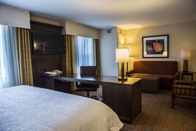 إستوديو قياسى سرير كينج, Hampton Inn & Suites Lake Placid