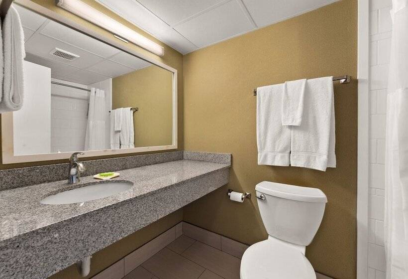 غرفه قياسيه سريرين مزدوجين, Beach House Dewey