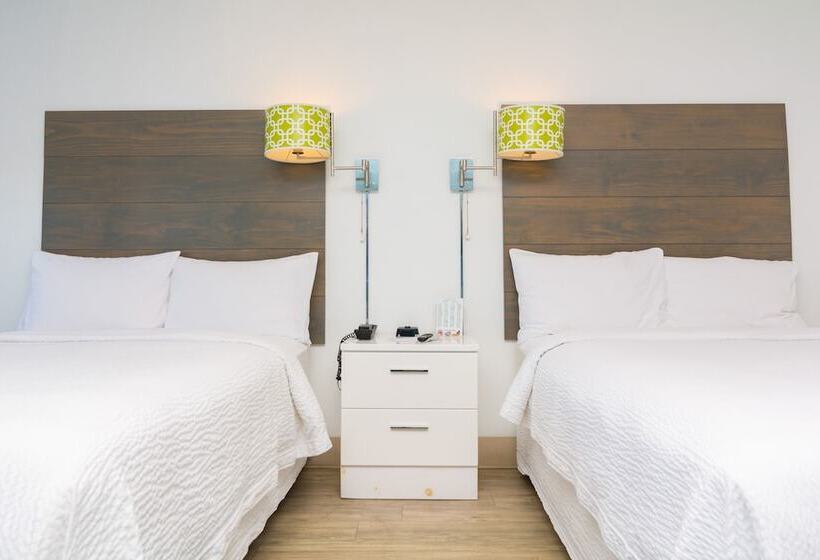 غرفه قياسيه سريرين مزدوجين, Beach House Dewey