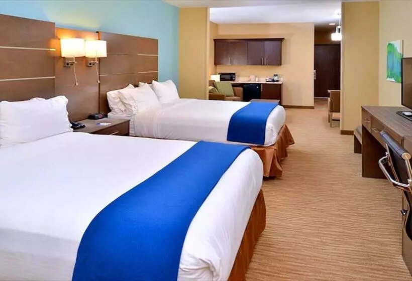 スイート, Holiday Inn Express And Suites Schulenburg, An Ihg