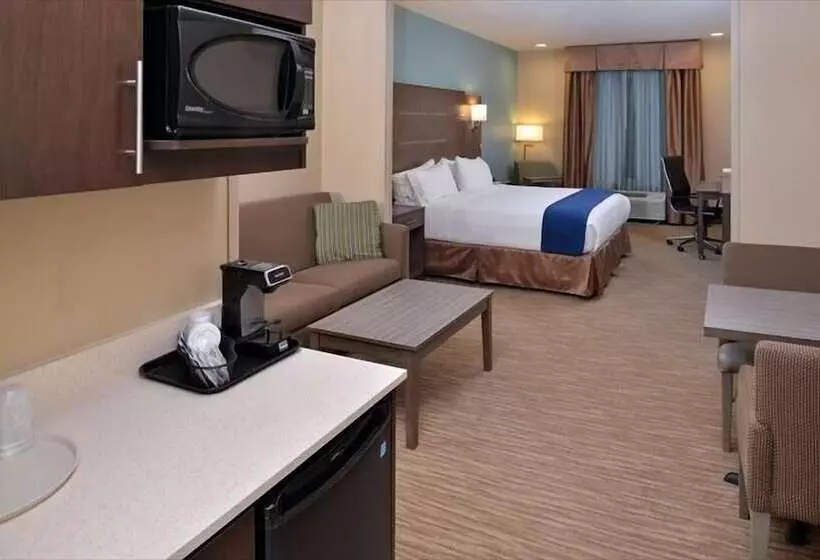スイート, Holiday Inn Express And Suites Schulenburg, An Ihg