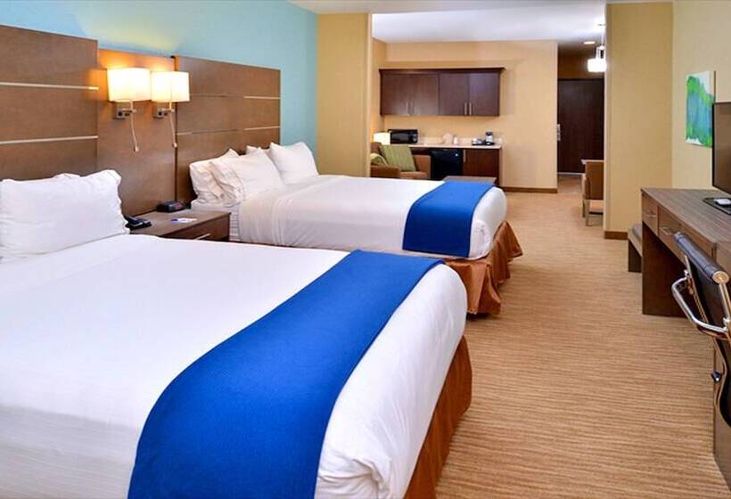 장애인을 위한 스위트, Holiday Inn Express And Suites Schulenburg, An Ihg