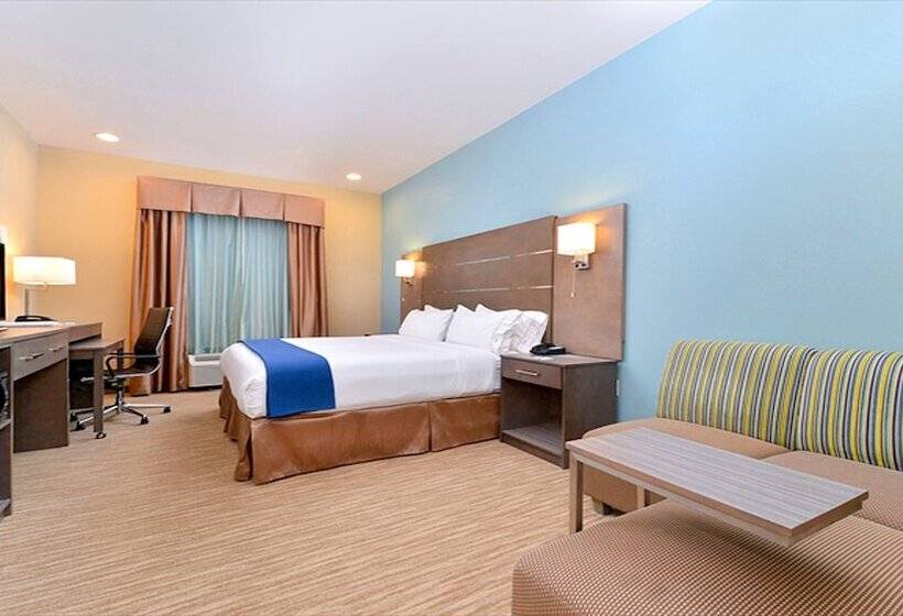 장애인을 위한 스위트, Holiday Inn Express And Suites Schulenburg, An Ihg
