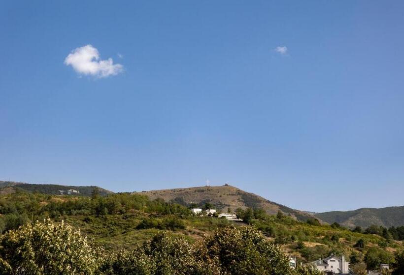 جناح عائلي, Life Gallery