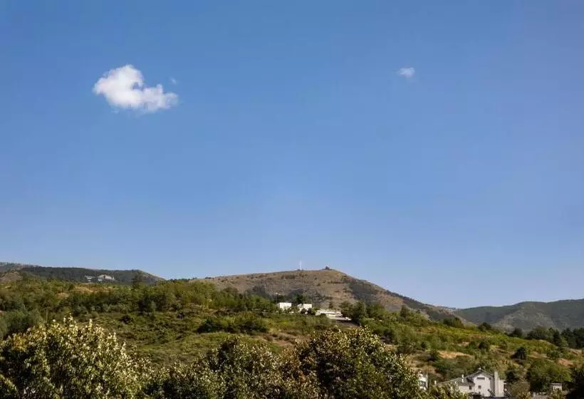 سوییت خانوادگی, Life Gallery