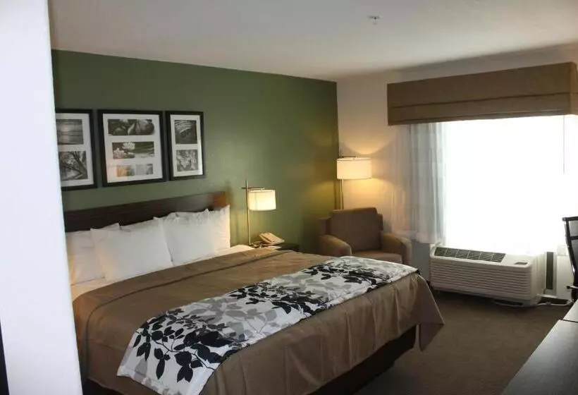 スタンダードルーム, Sleep Inn & Suites Garden City