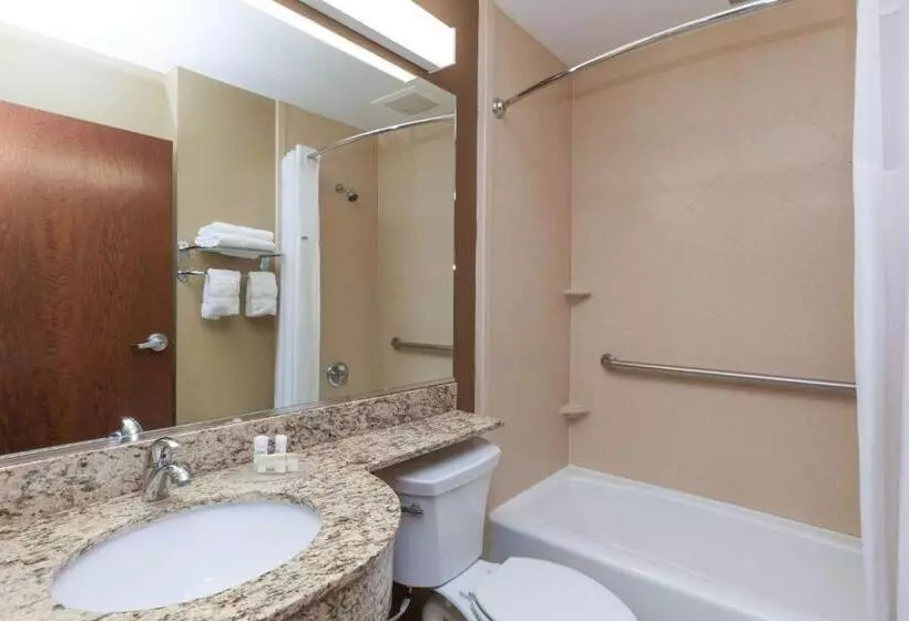 スタンダードルーム, Microtel Inn & Suites By Wyndham Wheeler Ridge
